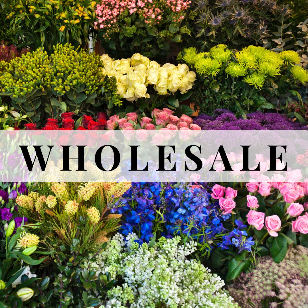 WHOLESALE Fresh Flowers on Florida
