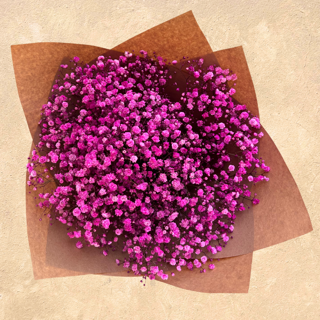 Gypsophila Baby's Breath Bunch