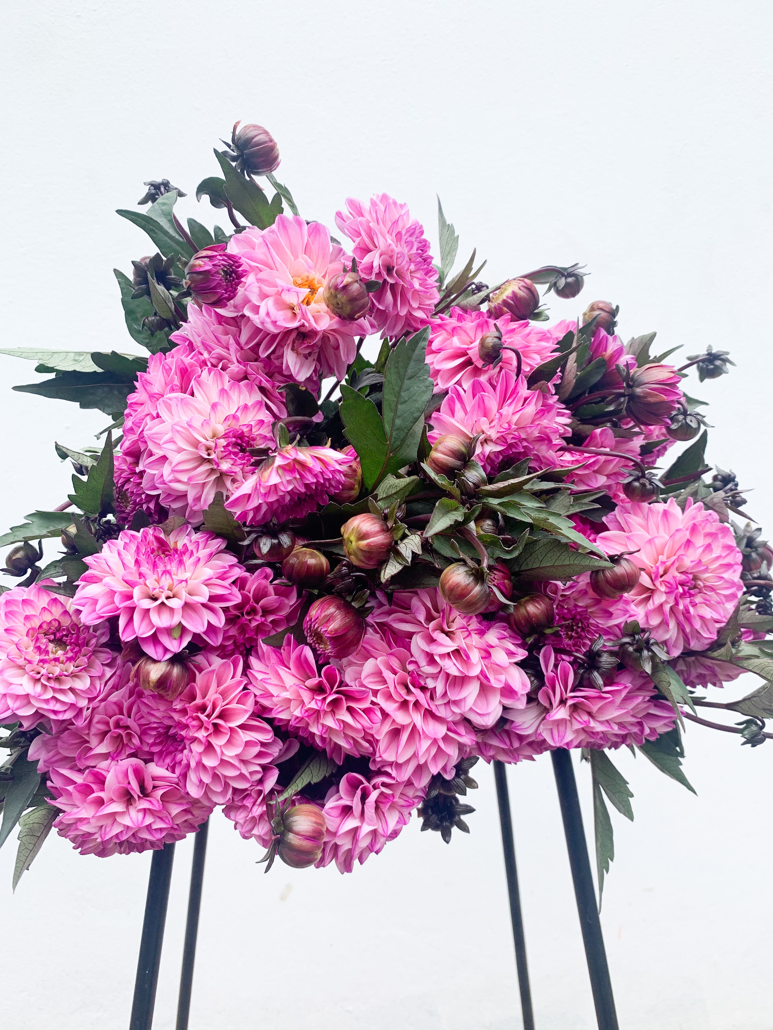 Mixed Dahlias Bouquet - Fresh Flowers on Florida