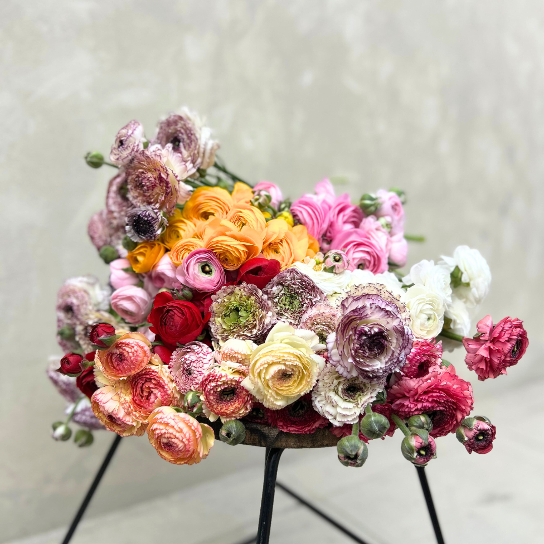Mixed Ranunculus Bouquet - SPECIAL