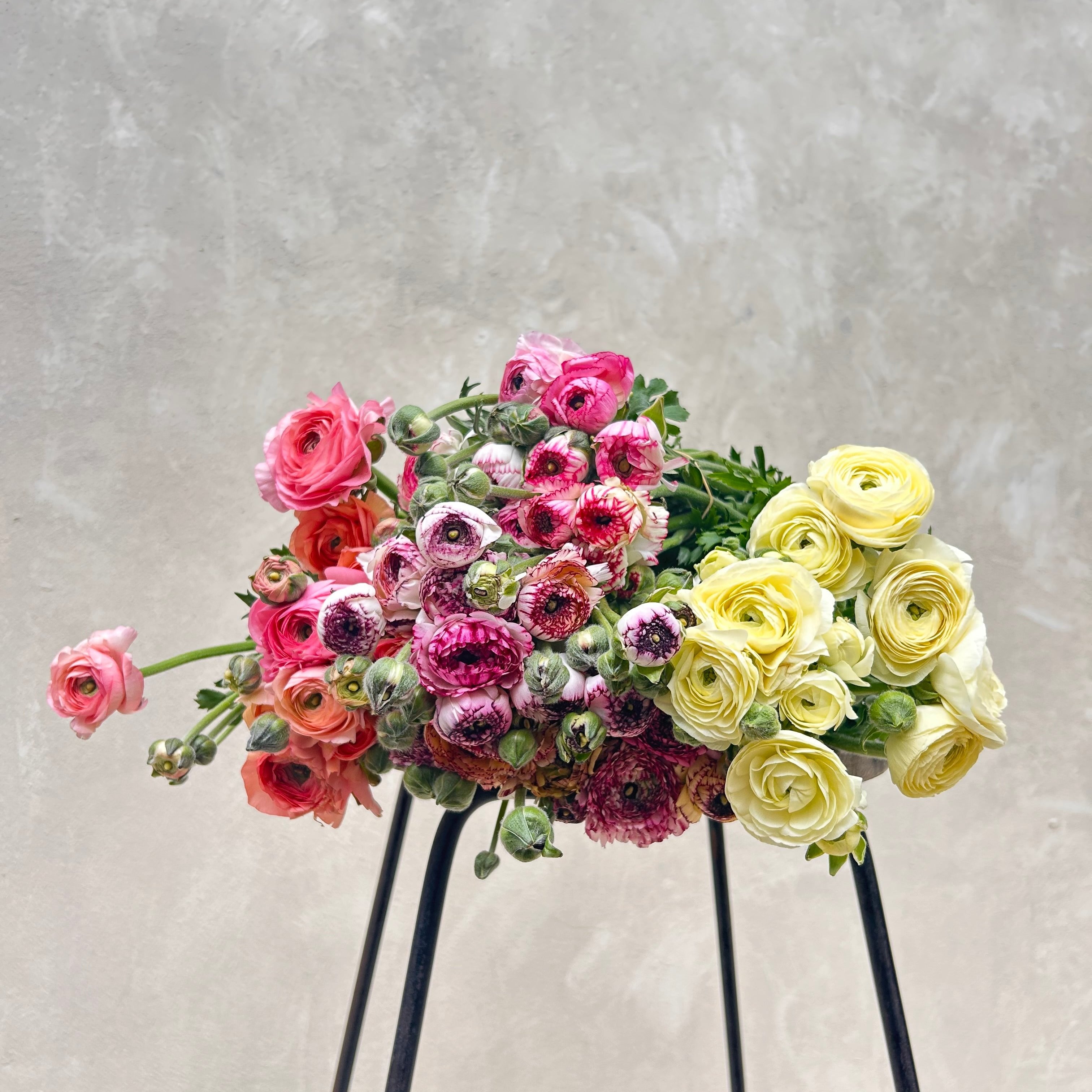 Mixed Ranunculus Bouquet
