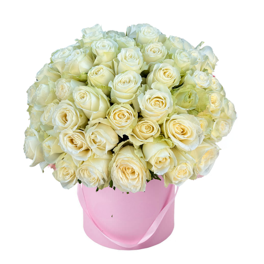 Valentines Classic White Roses Box