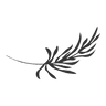 logo of Send Flowers - Flower Delivery | Fresh Flowers on Florida