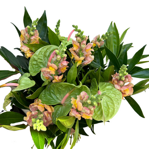 Anthuriums Lush Bouquet