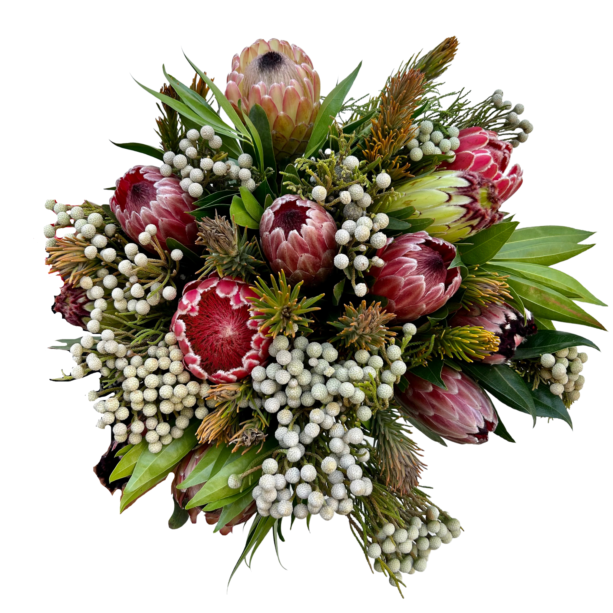 Proteas Fynbos Bouquet Proteas Fynbos Bouquet
