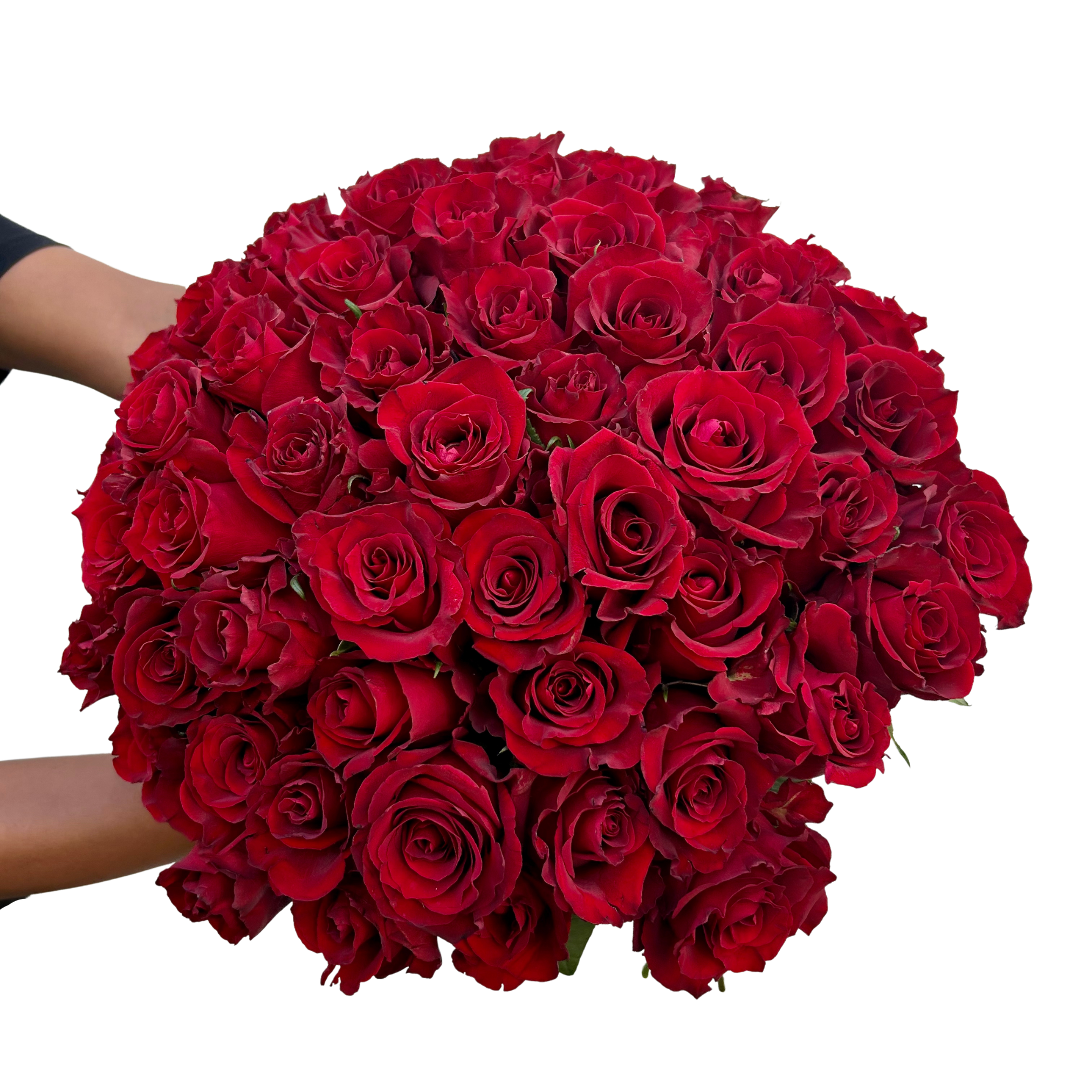 Valentines Speciality Red Rose 🌹 Long Stems (60cm) - Fresh Flowers on Florida
