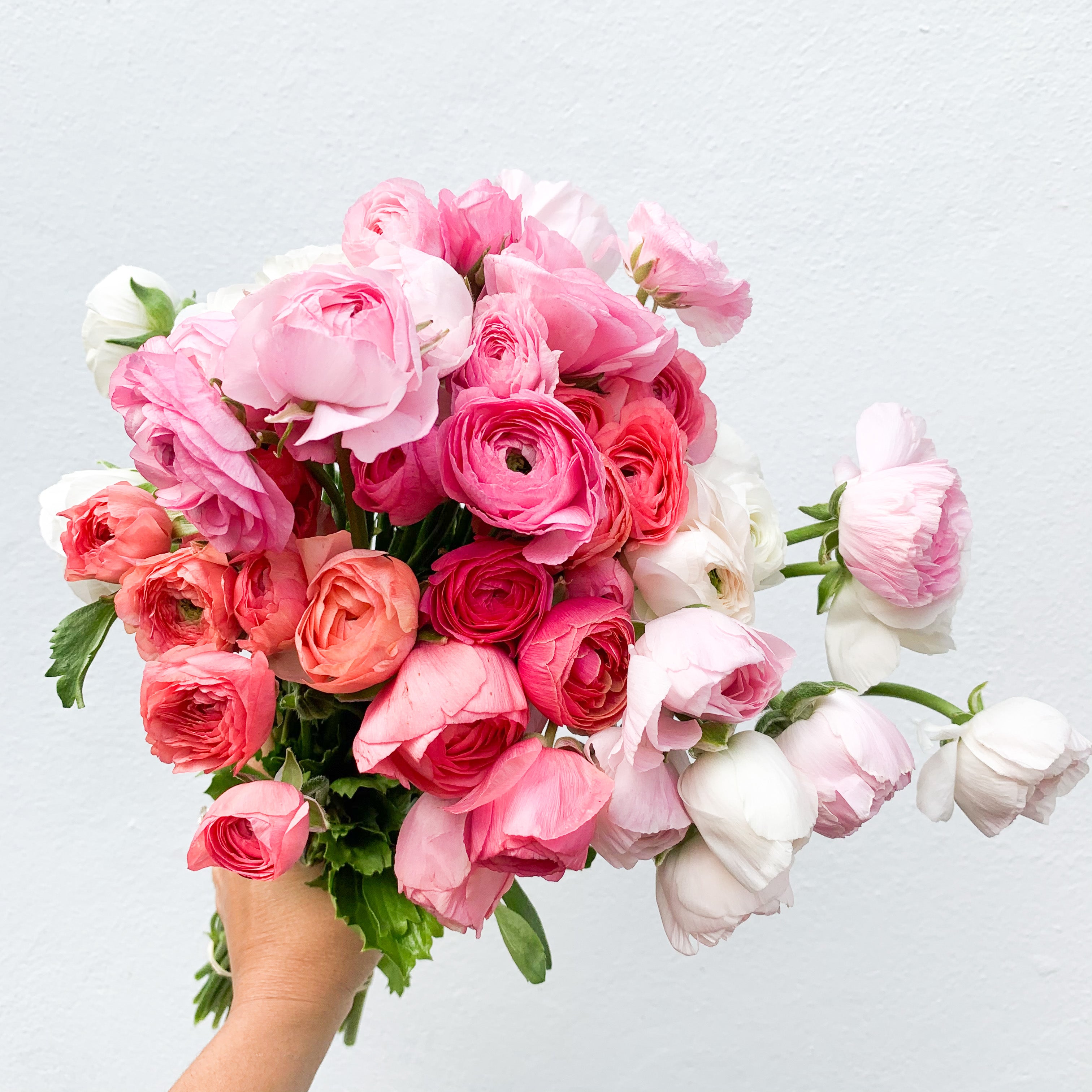 Ranunculus Bouquet - Fresh Flowers on Florida